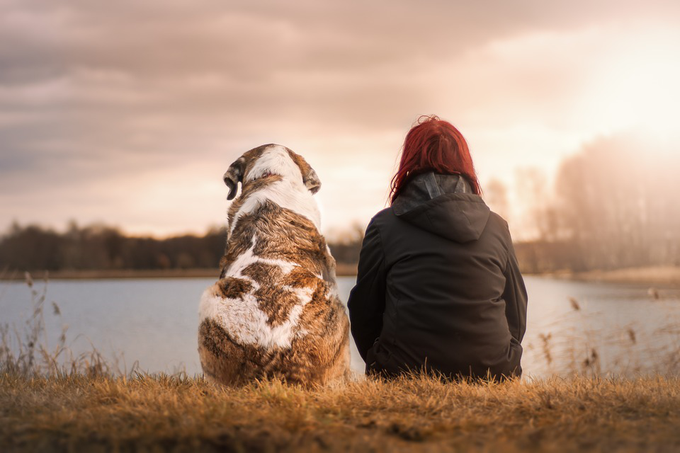 Can Pets Really Touch Lives That Deeply?