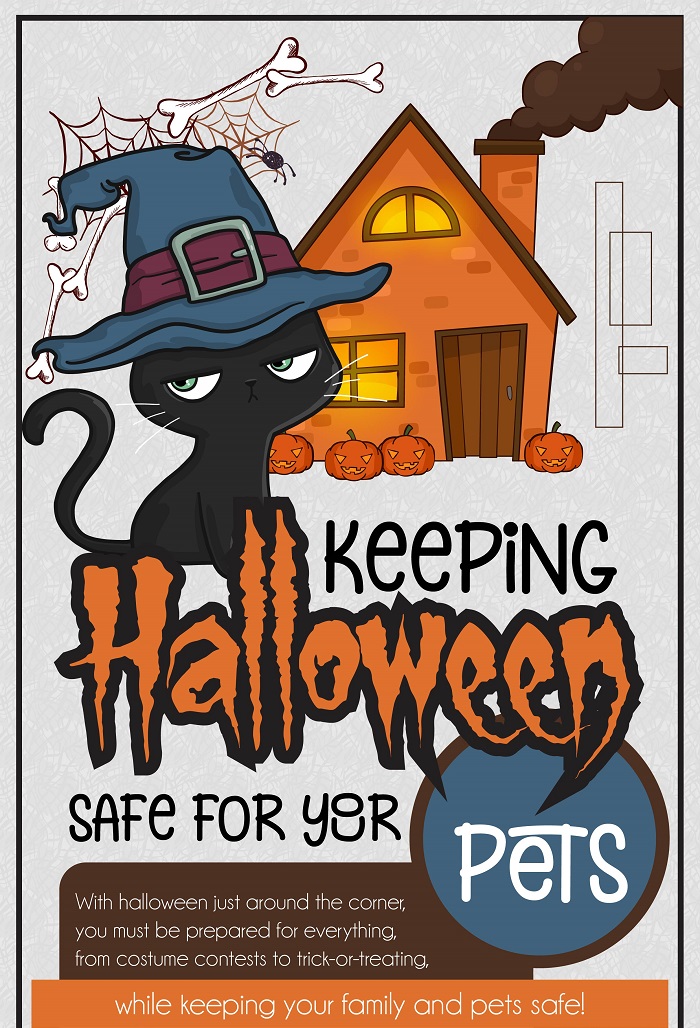 Keeping Halloween Safe For Your Pets – An Infographic